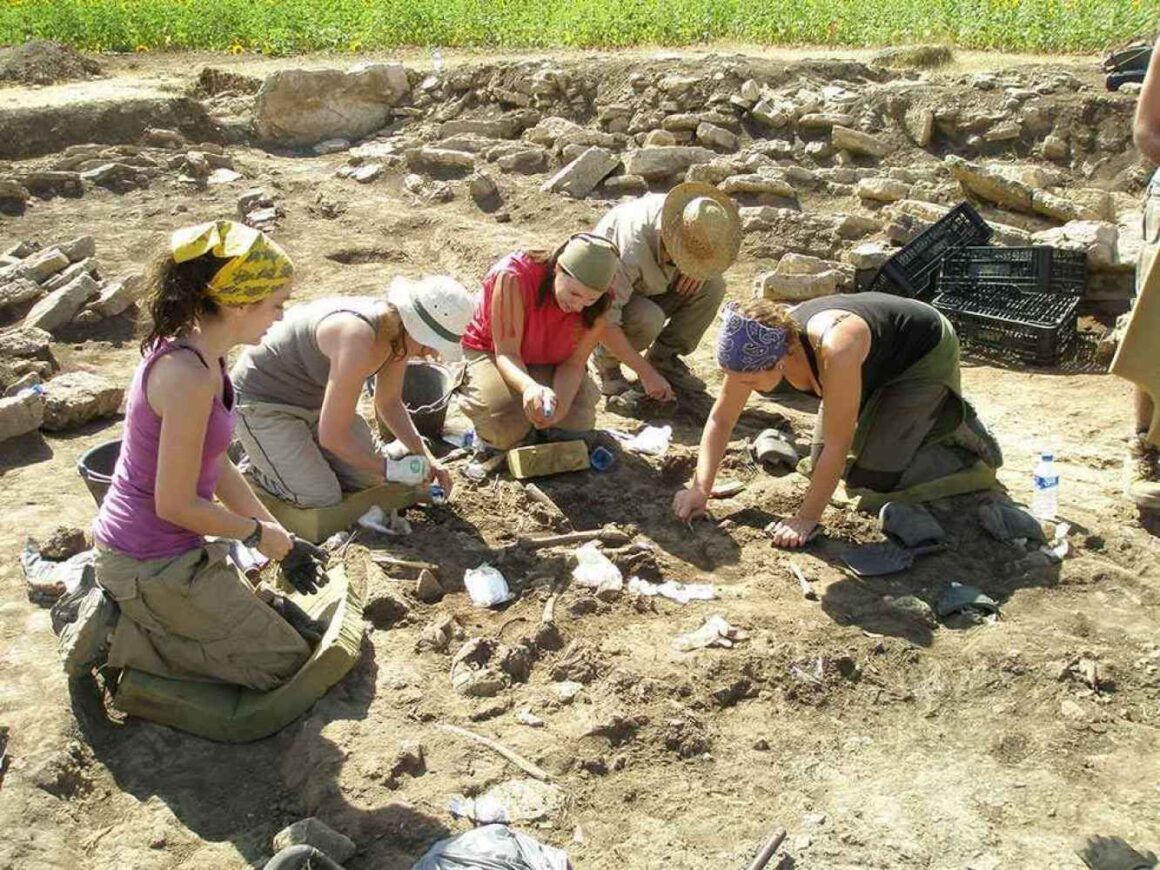 LA PROPUESTA DE SALDAÑA RESULTA INCLUIDA EN EL PROGRAMA CAMPOS DE VOLUNTARIADO JUVENIL EN CASTILLA Y LEÓN 2025